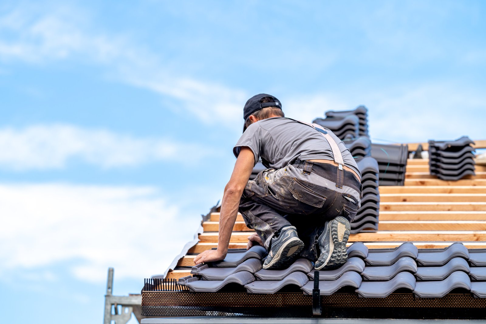 Home roofservice devina dakrenovate